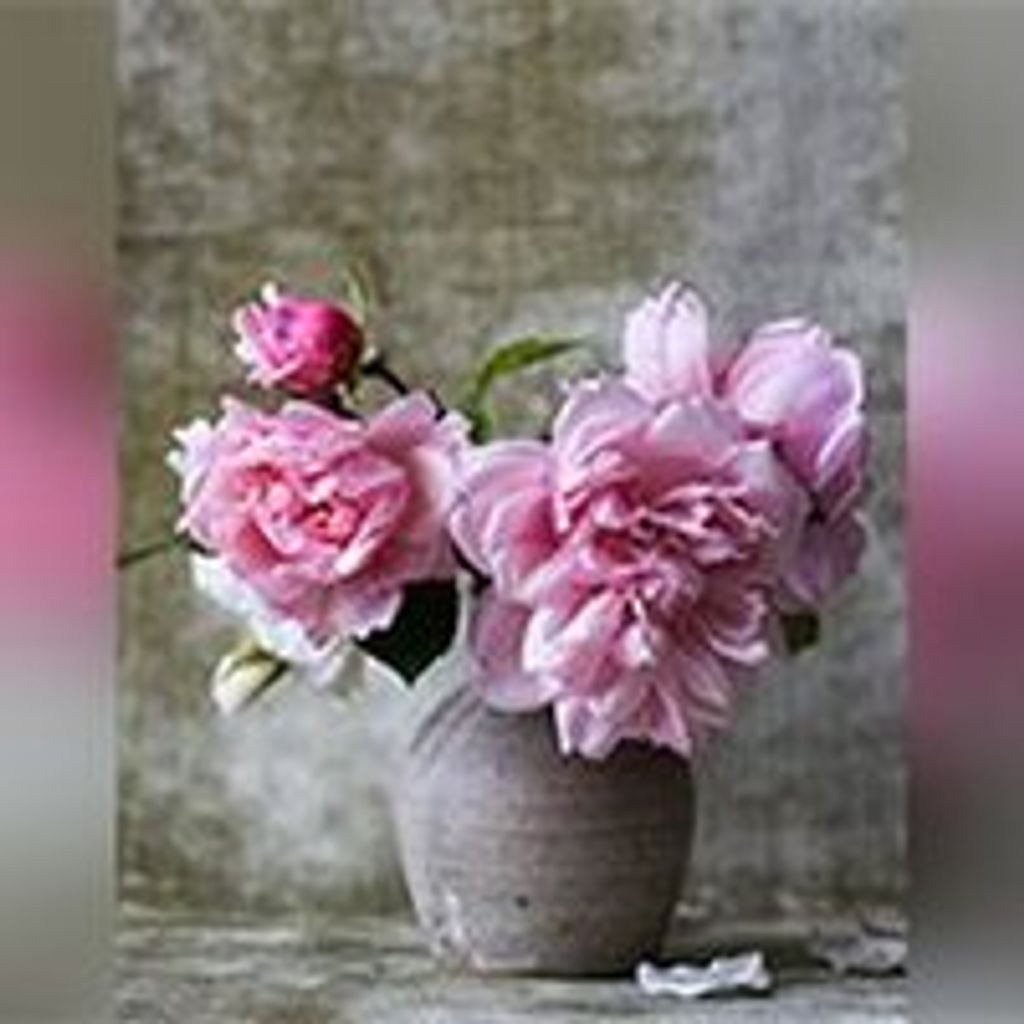 Regina A. Fuksa Profile Photo