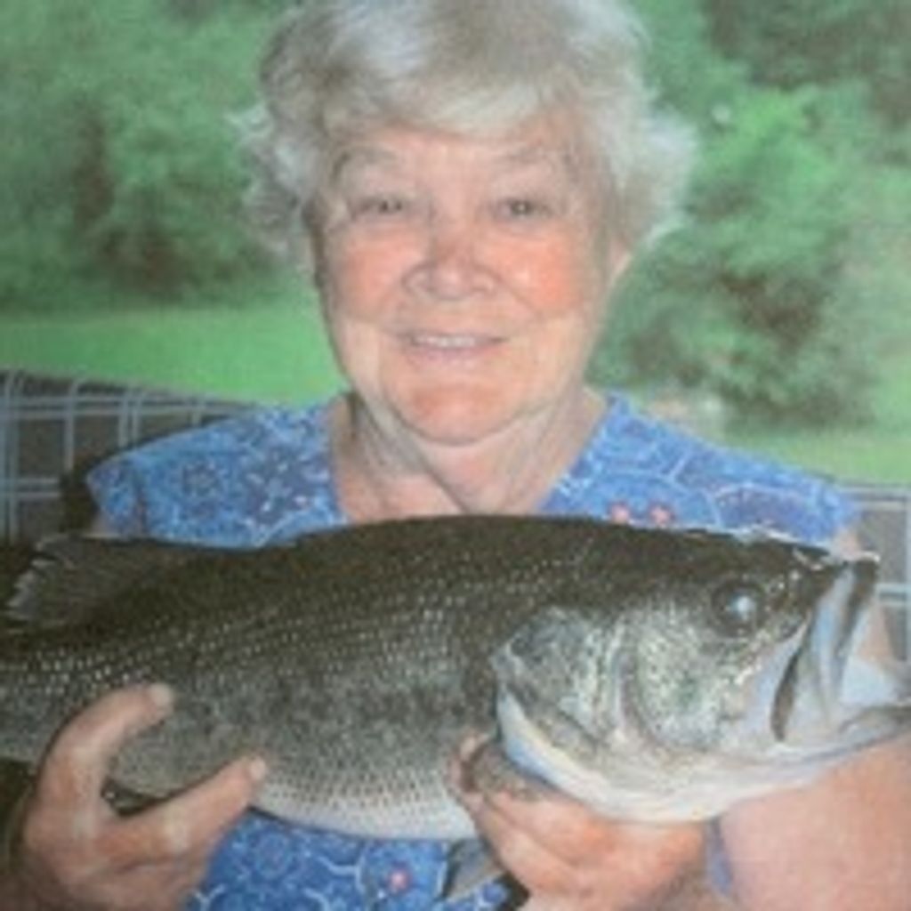 Lillie Hege Wilson Profile Photo