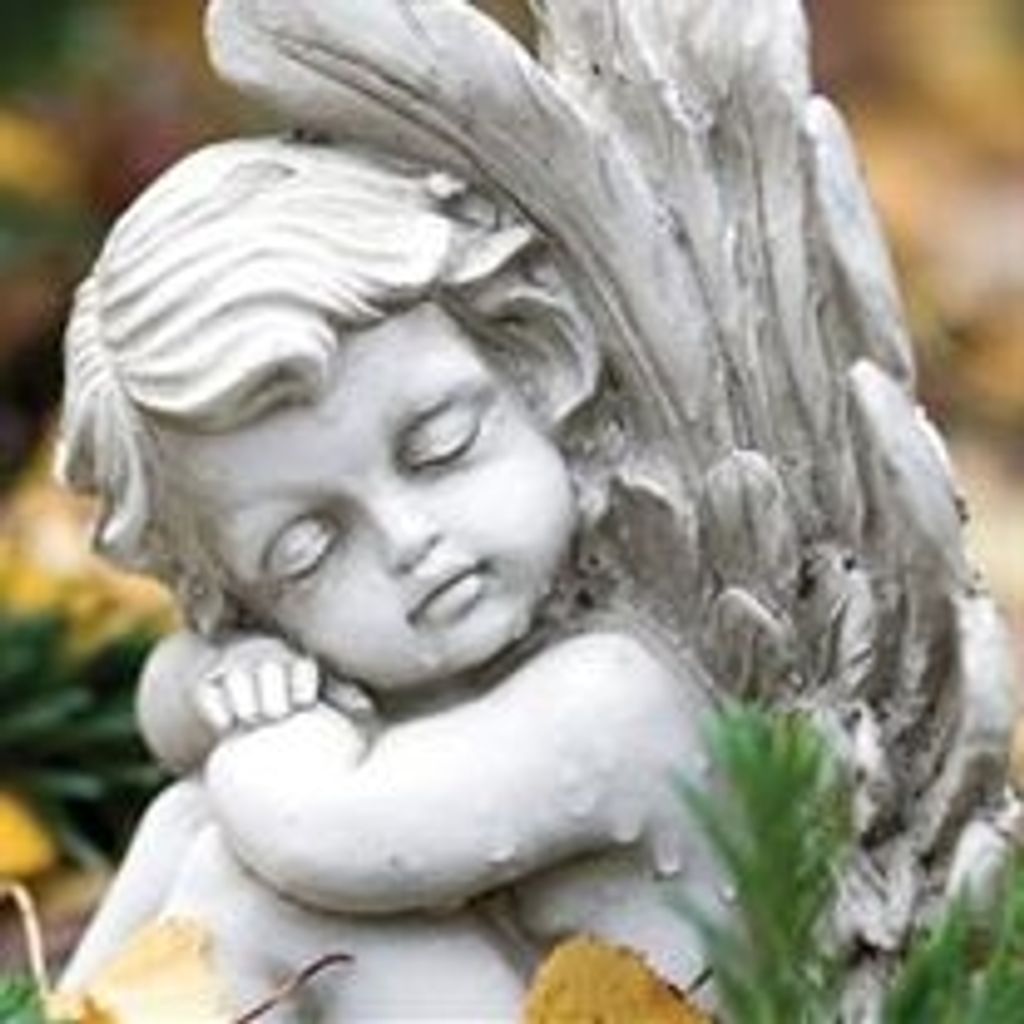 Brian A. Mccall Profile Photo