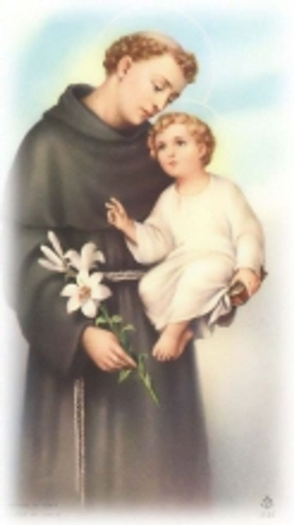 Roseanne  E. Stringer