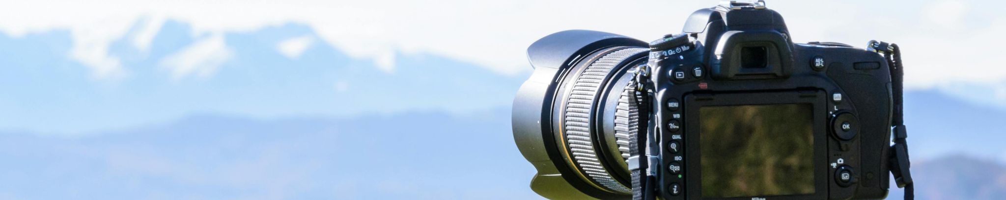 Cover for Sharon Sue Trisler's Obituary