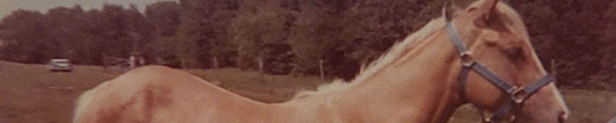 Cover for Timothy G. Drake's Obituary