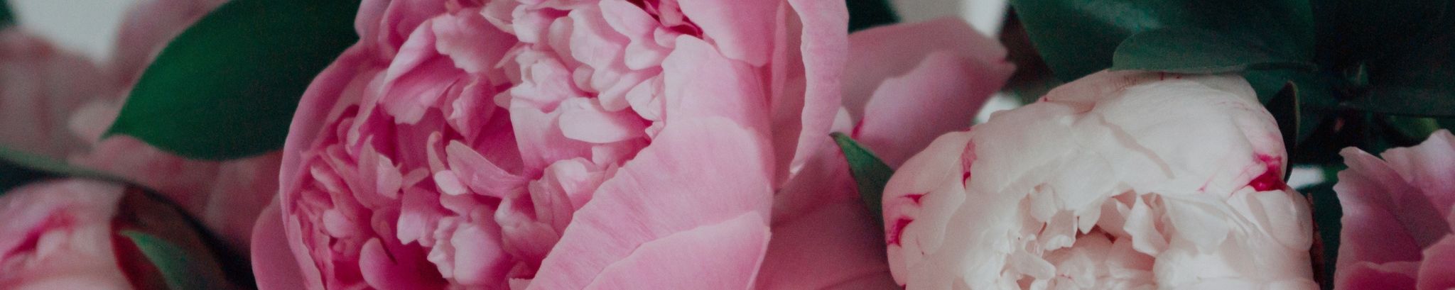 Cover photo for Mary E. Cantrell's Obituary