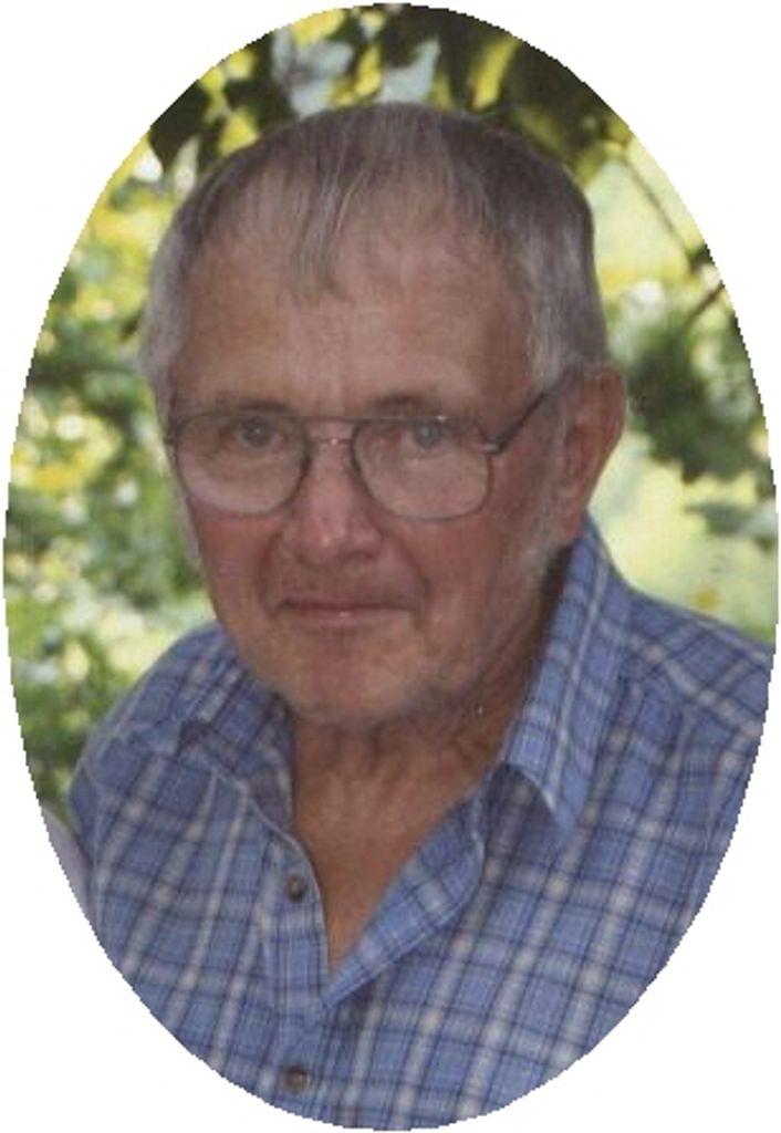 David Carey Profile Photo