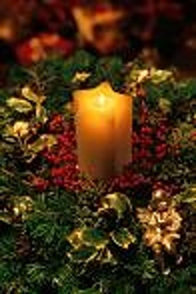 Sarah L. (Famularo)  Stewart