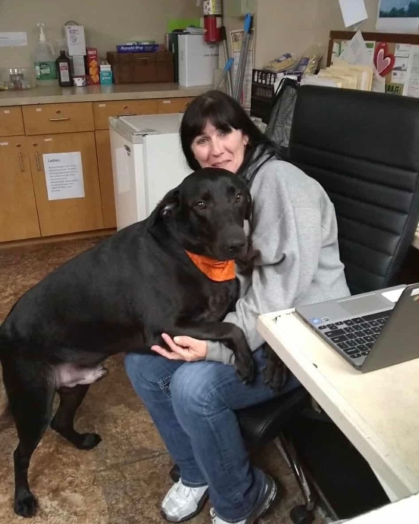 Vicky Lynn Bennett Profile Photo