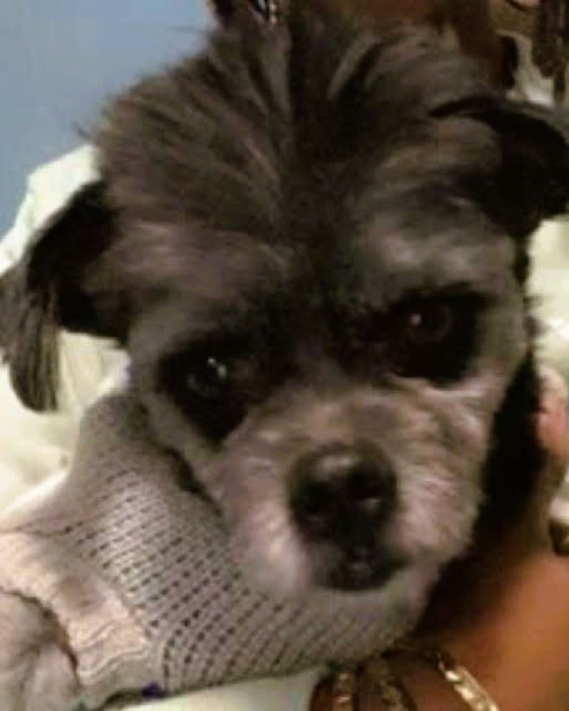 Benzley Evans Profile Photo