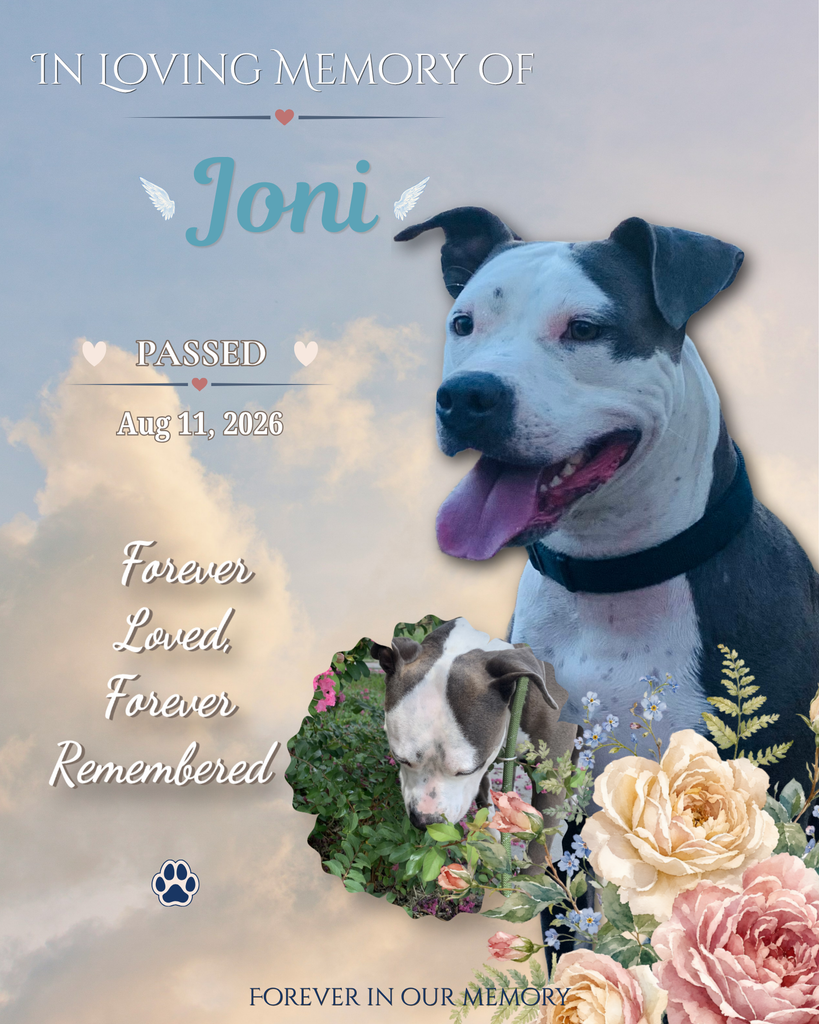 Joni Profile Photo