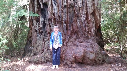 Barbara Ann (Roberts)  Hilliard photo gallery thumbnail 19 of 38