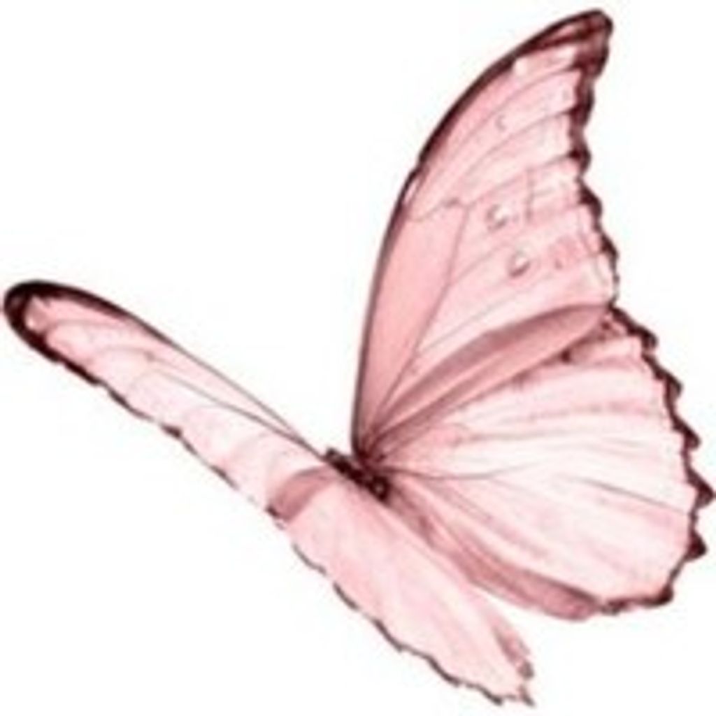 Kylee Loftin