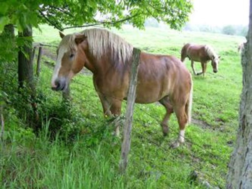 Harlan "Bud" Keniston