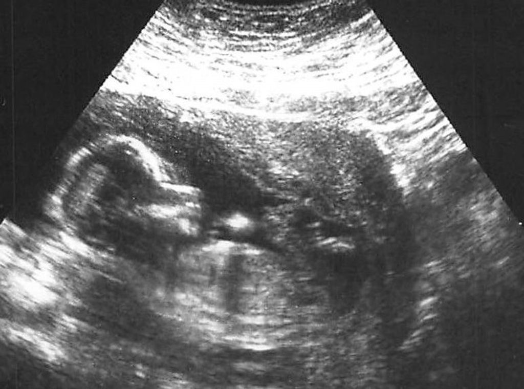 Paisley Martinez