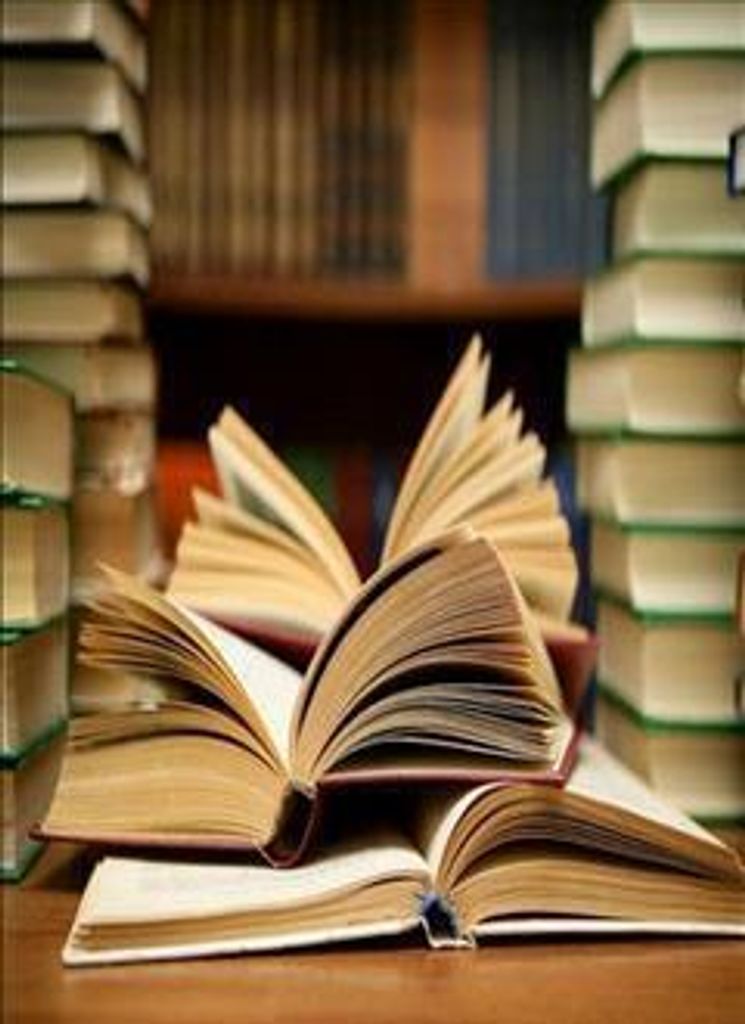 Dr Marilyn Frances Bush Profile Photo