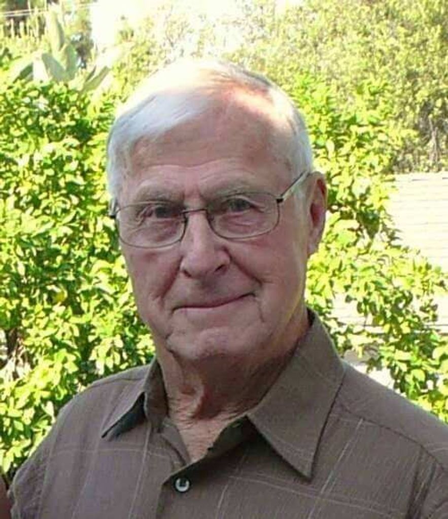 Robert W Frank