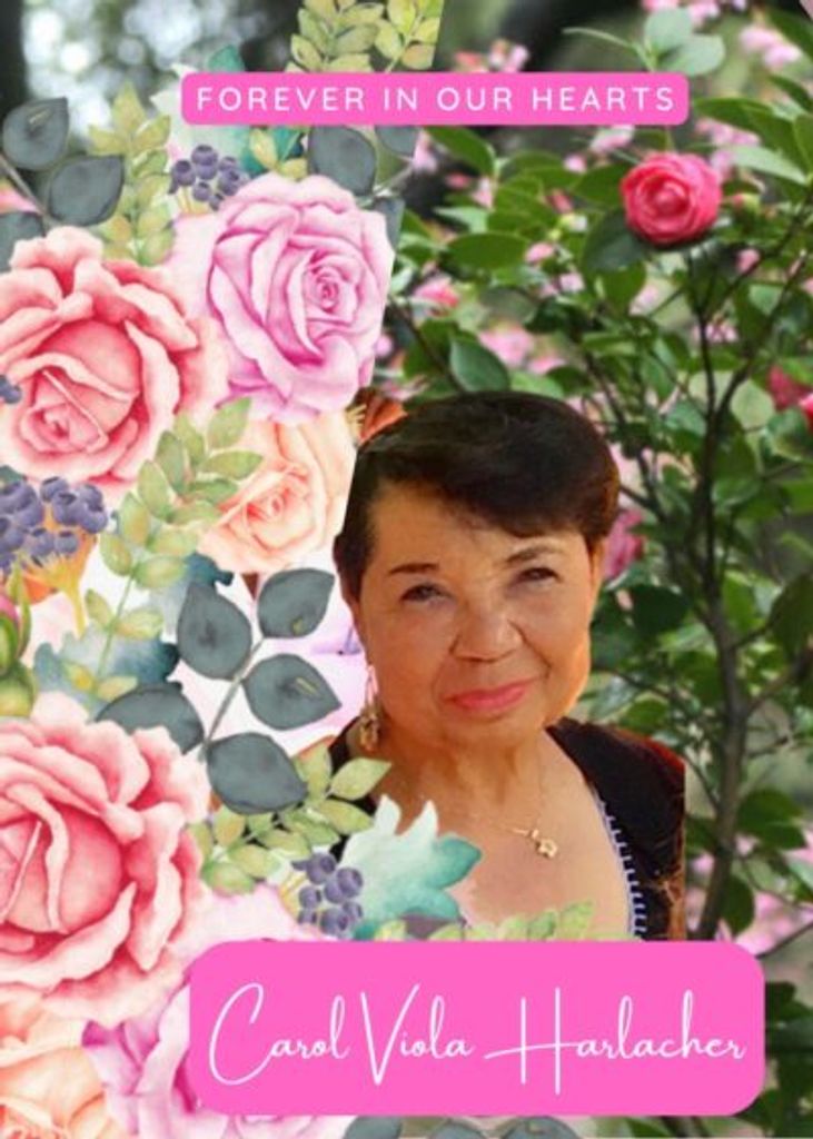 Carol Viola Harlacher