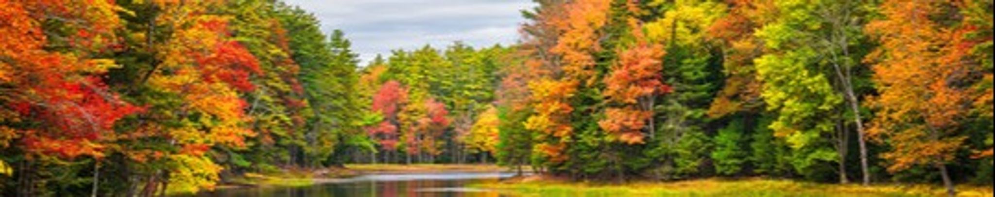 Cover for Marion Regina "Gina" Strader's Obituary