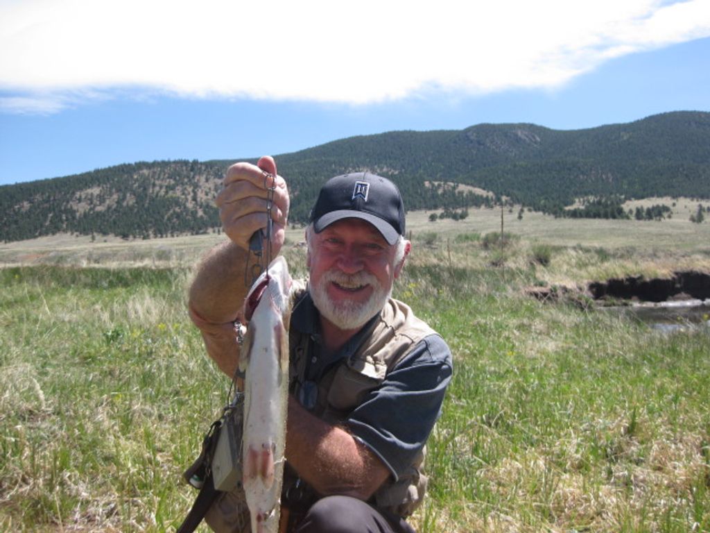 Robert Welch Profile Photo