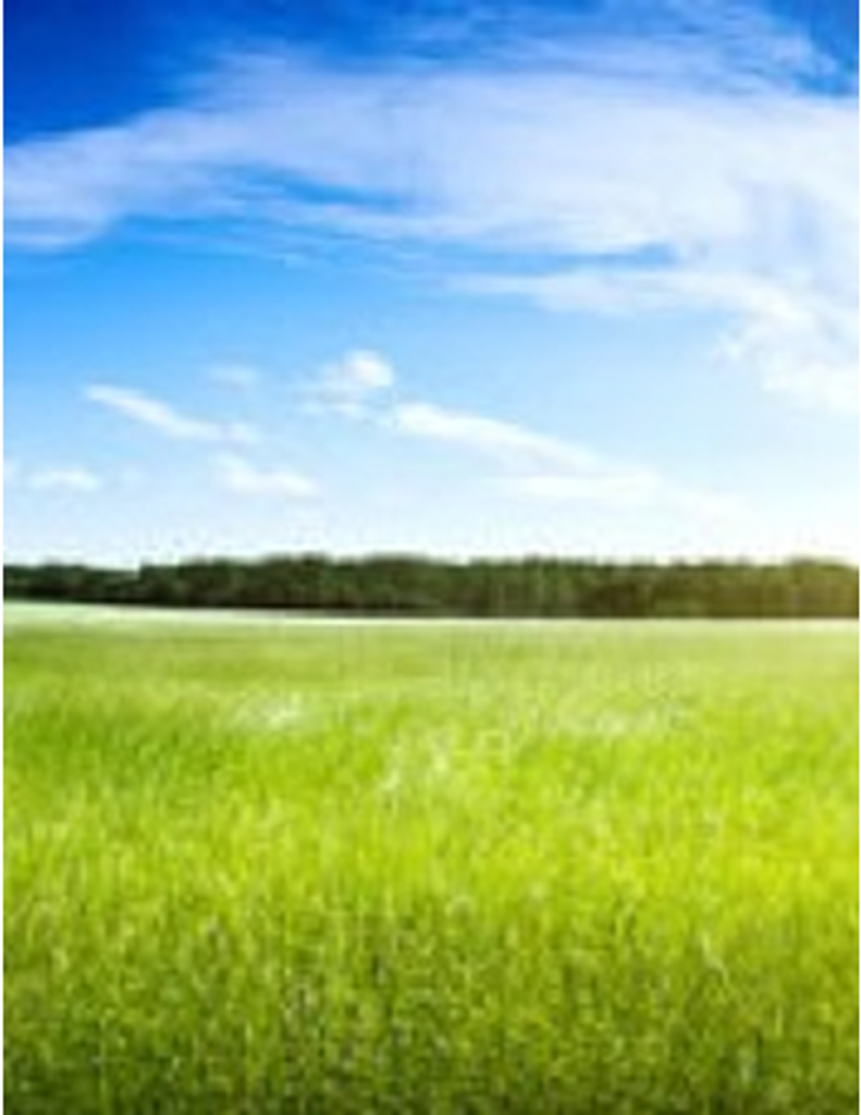 Leslie "Les" R. Gage