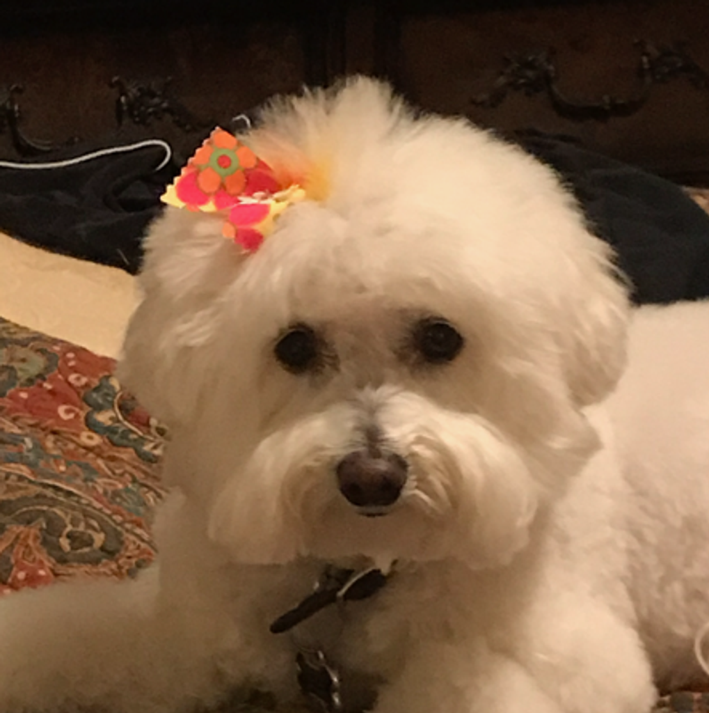 Simone Profile Photo