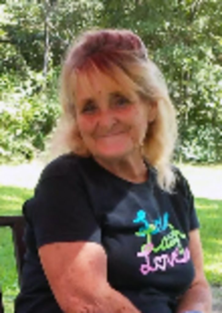 Nancy L. Saulnier Profile Photo