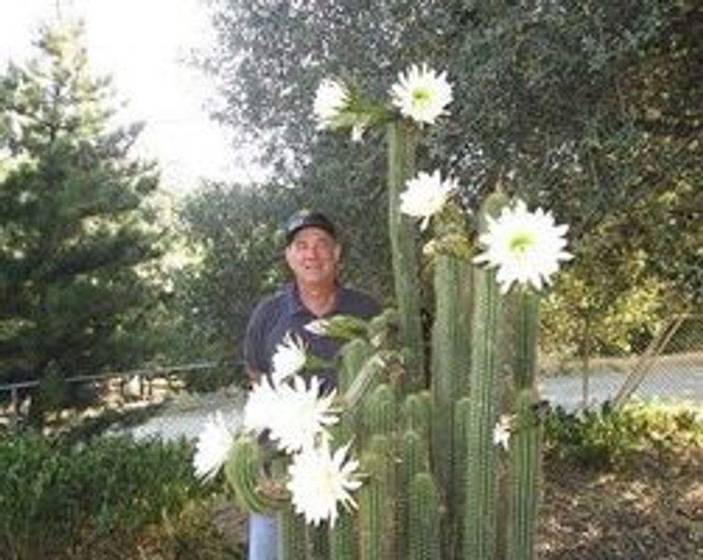 Steven Phillip Robinson Profile Photo