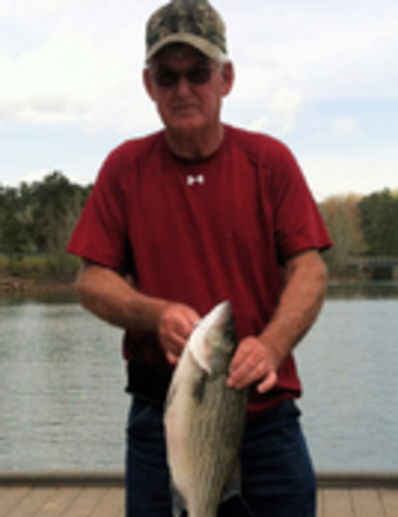 Michael David Smith Profile Photo