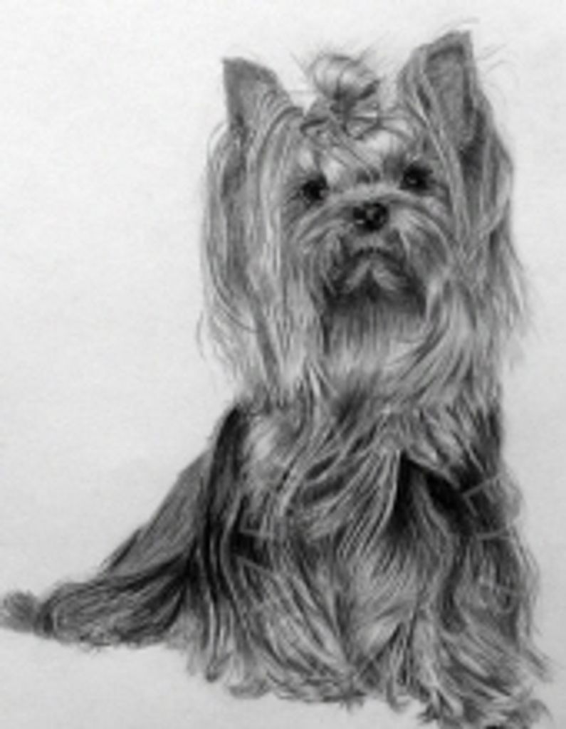 Mizuno Suchy Profile Photo