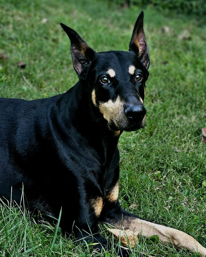 Deacon Klipp Profile Photo