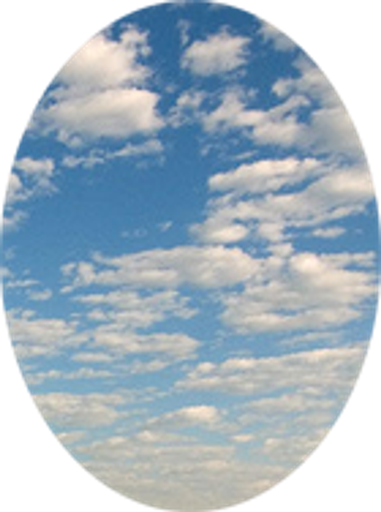 David Burruss Profile Photo