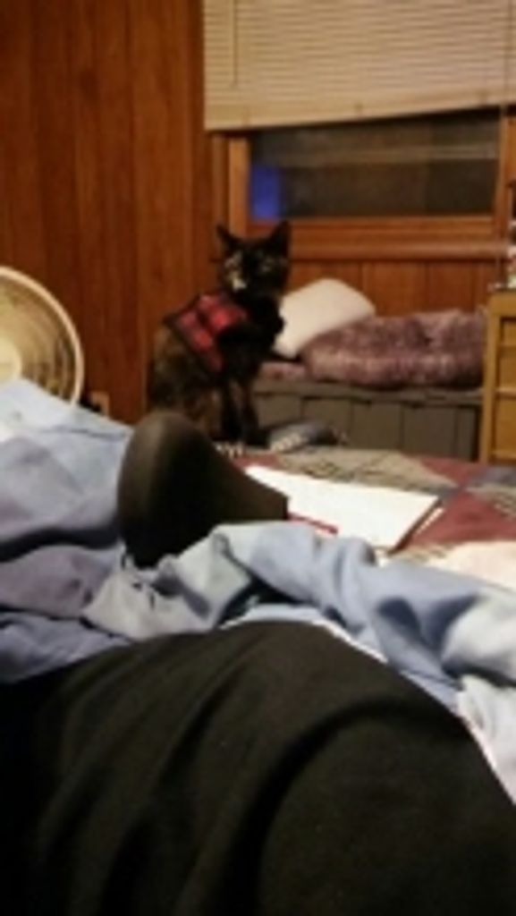 Bear Farr-Barnhart Profile Photo