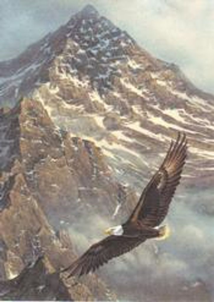 Dallas Harold De Vinney, Jr.