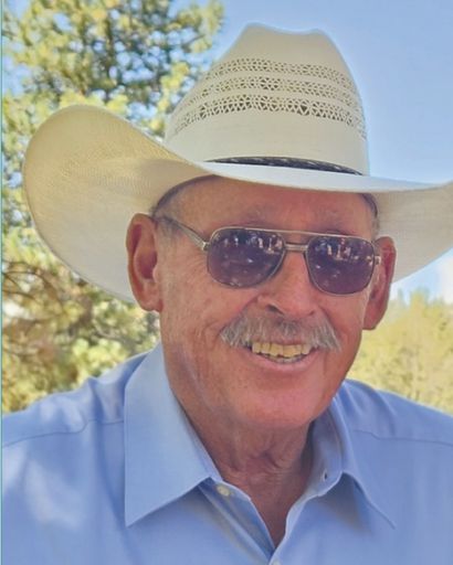 David Arnold Tindall Profile Photo