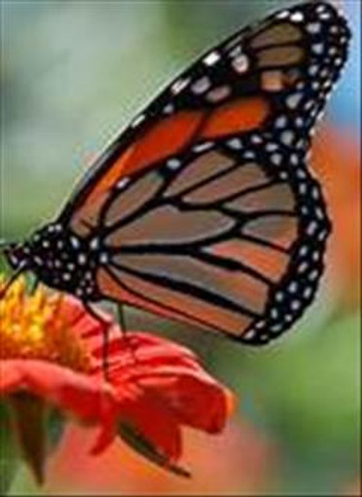 Sherrie Lynne Childers Profile Photo