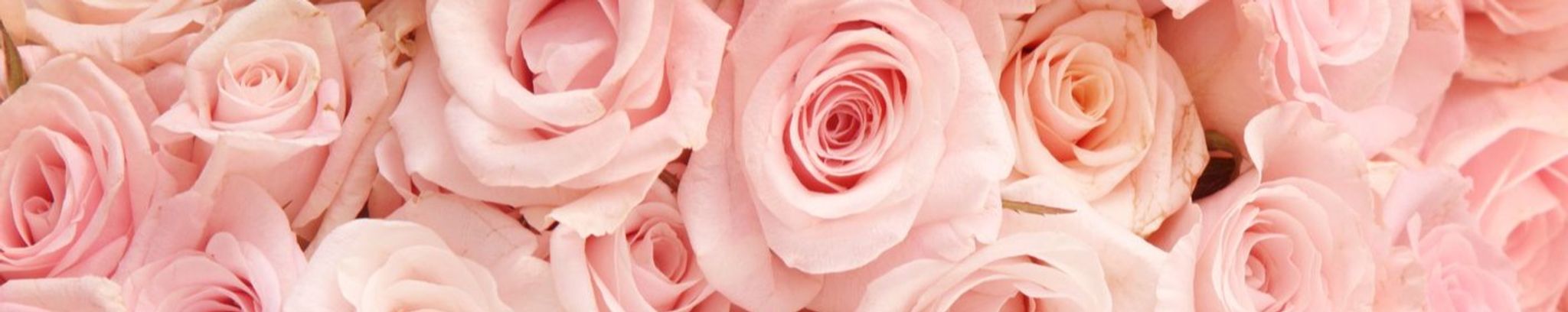 Cover photo for Mrs.Carolyn Bentley Cooper's Obituary