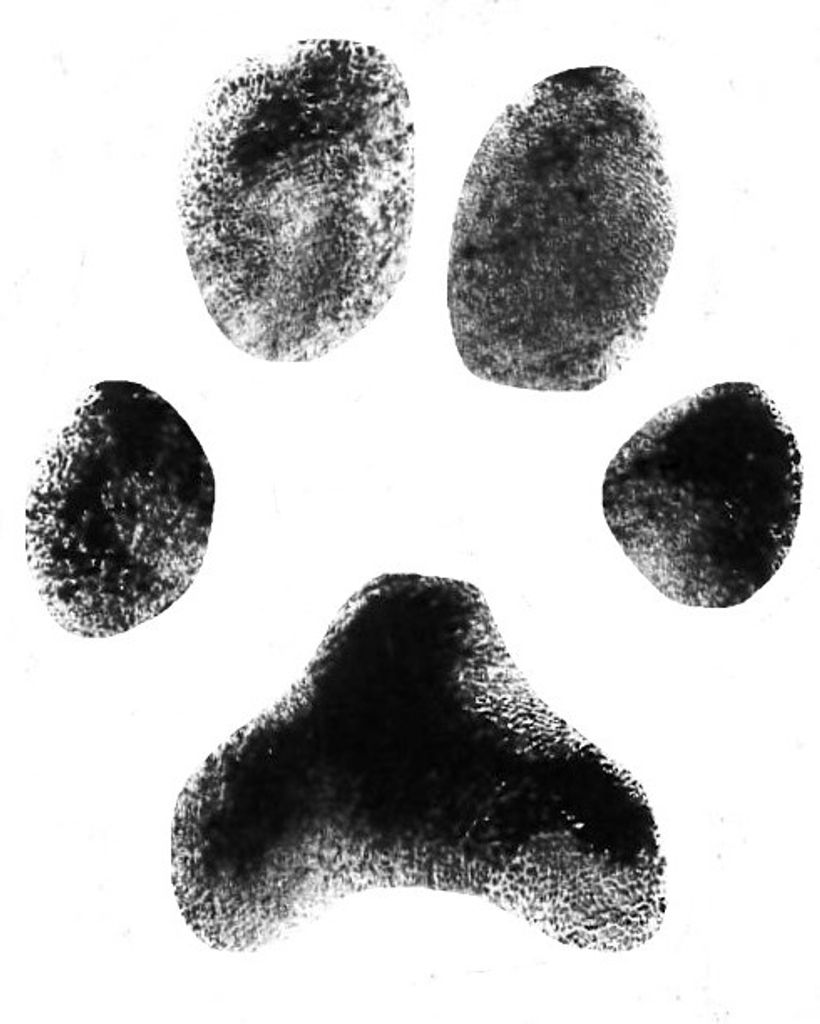 Sissy Andresky-Wasser Profile Photo