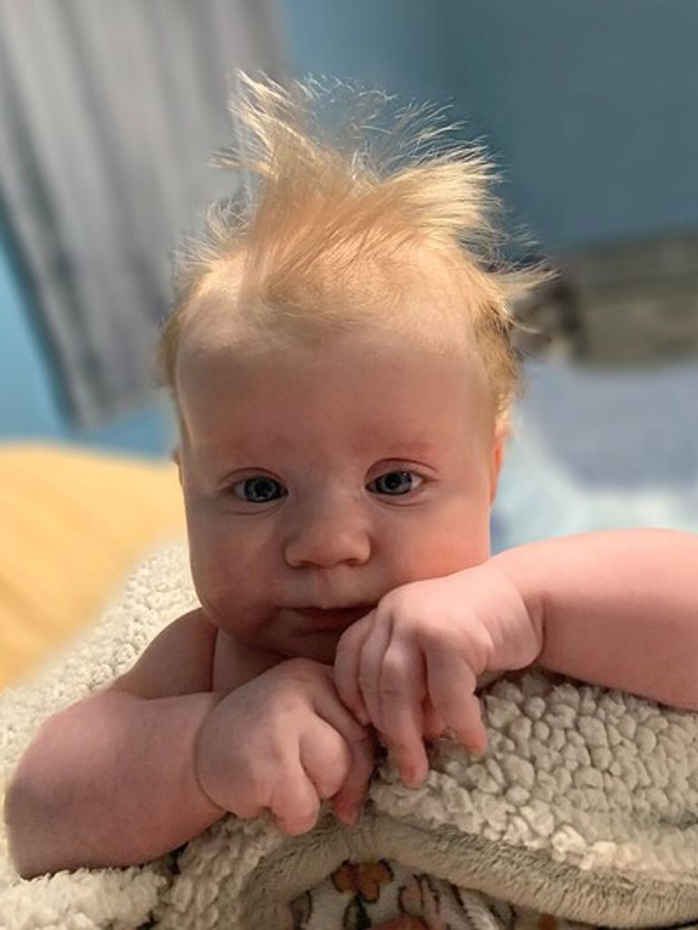 Thea Rose Chasteen Profile Photo