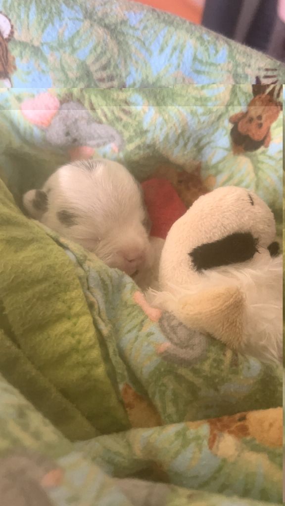Ezzy Profile Photo