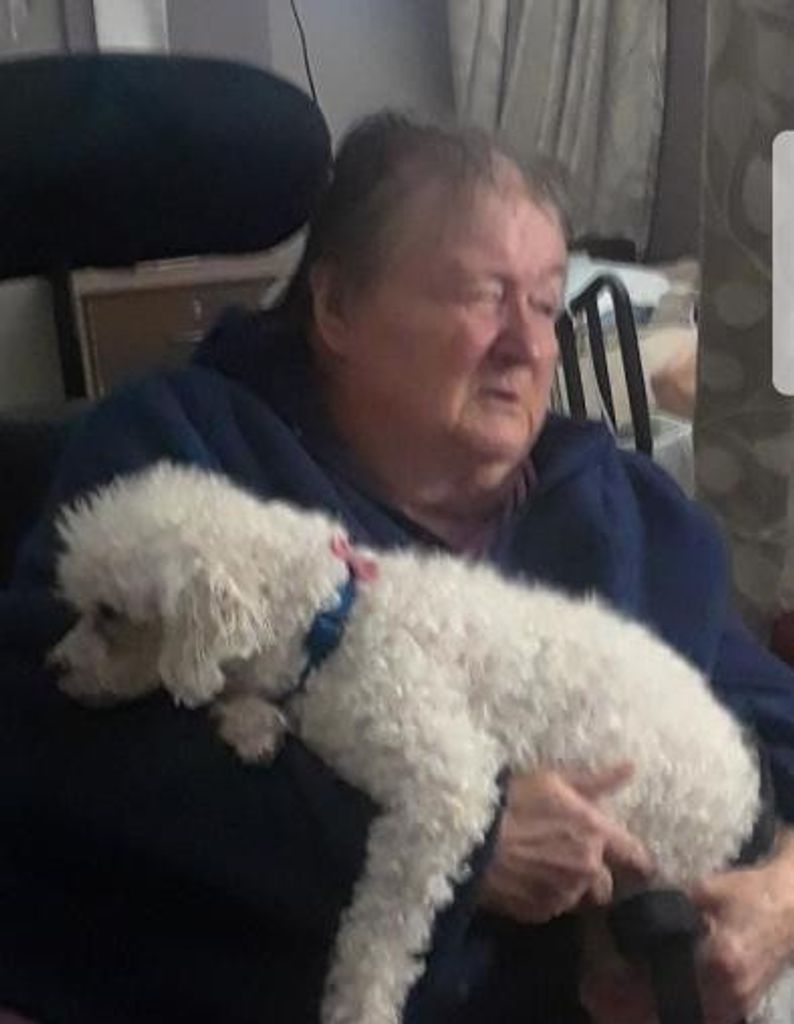 Barbara Ann Nodine