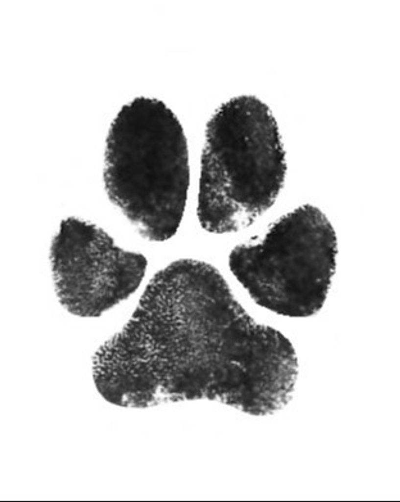 Bailey Parker Profile Photo