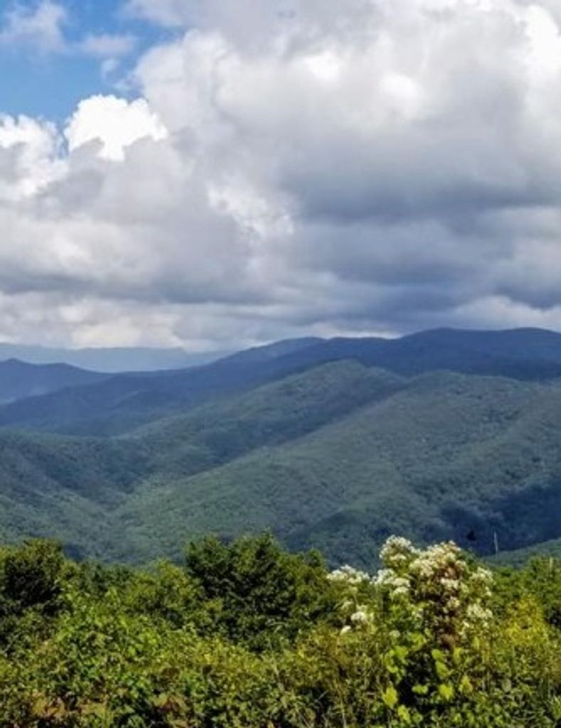 Grover "Mickey" W Henson, Jr. Profile Photo