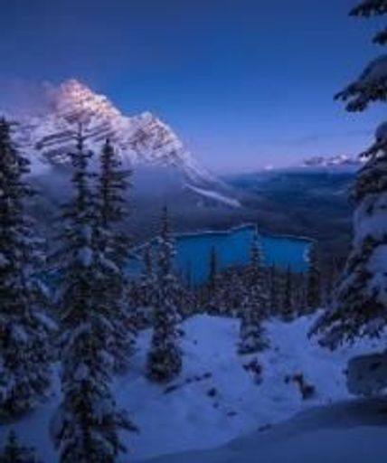 Gary Anderson Profile Photo