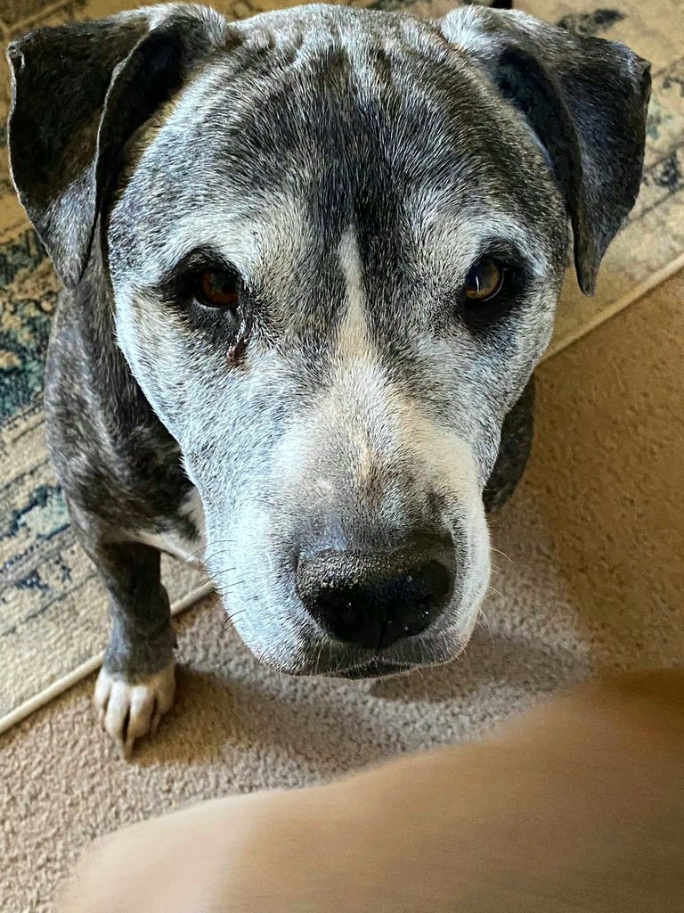 Rocko Casias Profile Photo