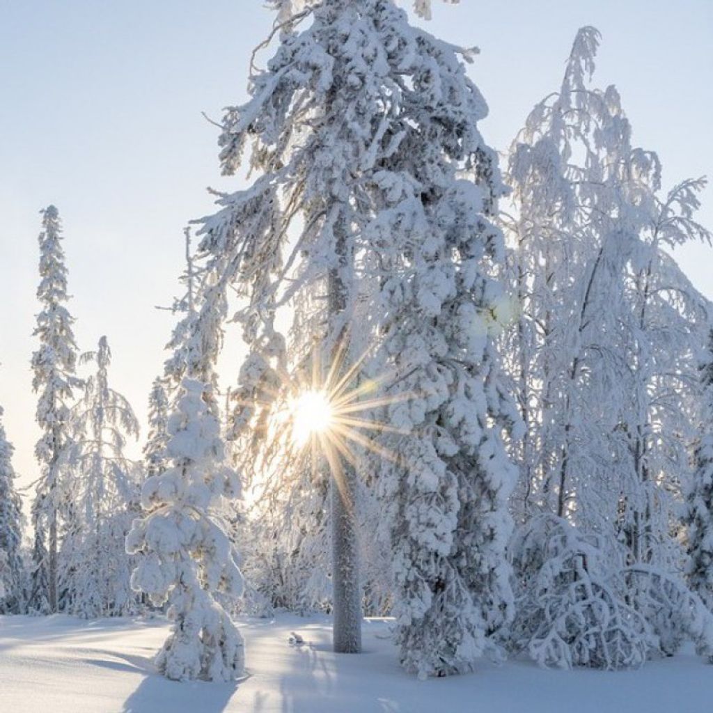 Harry Edgar Keiper Profile Photo