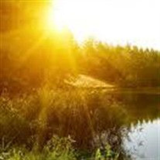 Allan Johnson Profile Photo