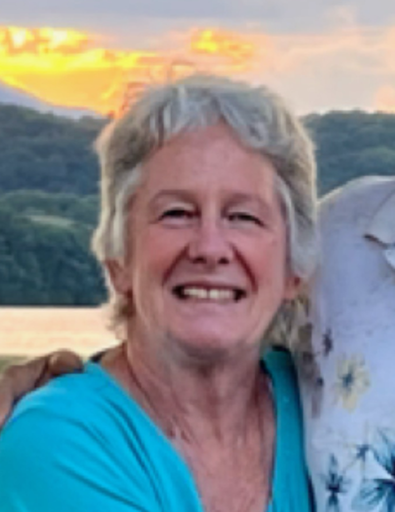 Donna  Ann Collins Profile Photo