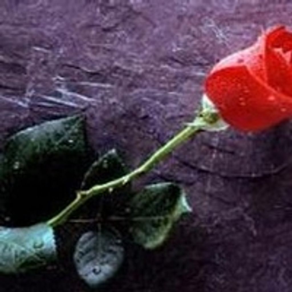 Linda Annette Griffin Profile Photo