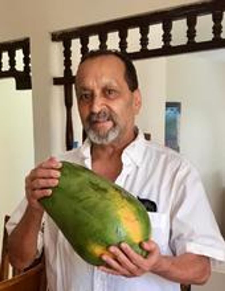 Graciano  Matos  Profile Photo
