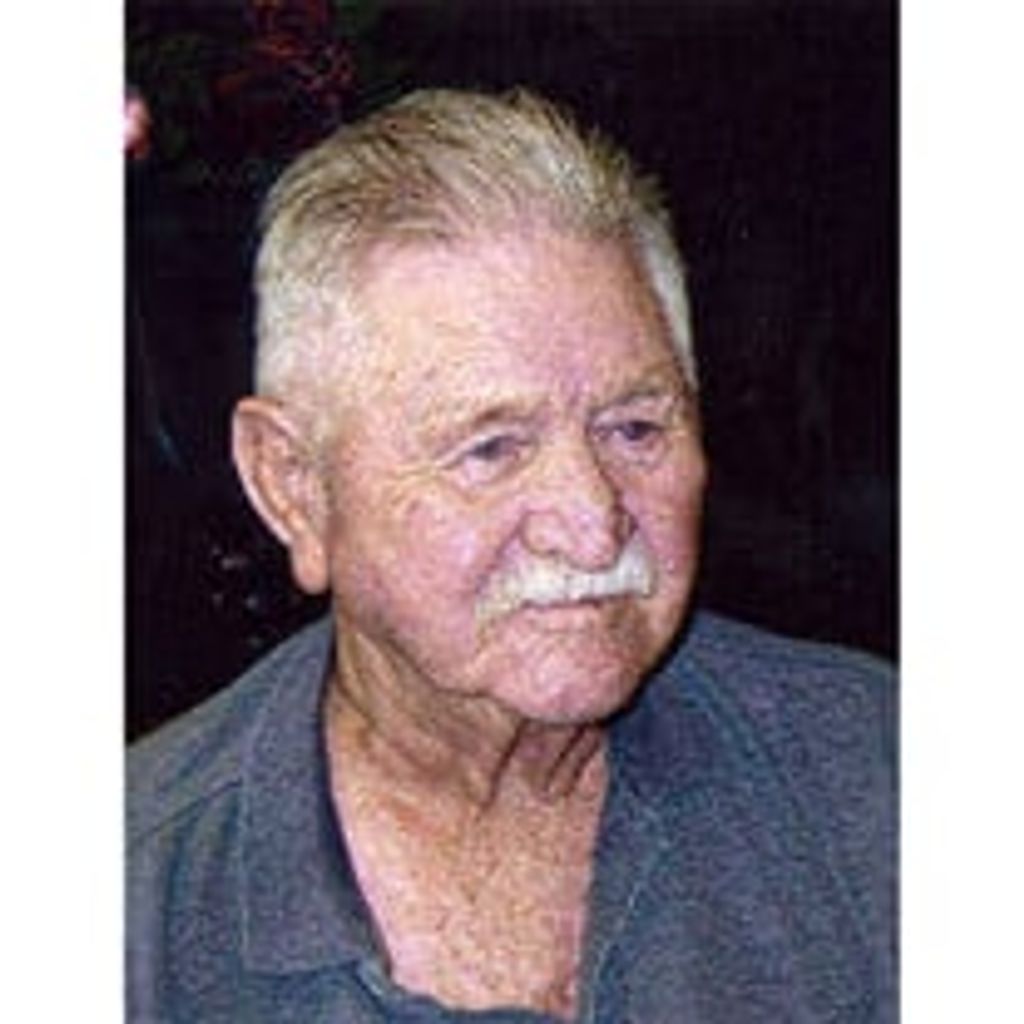 Ray E Nelson