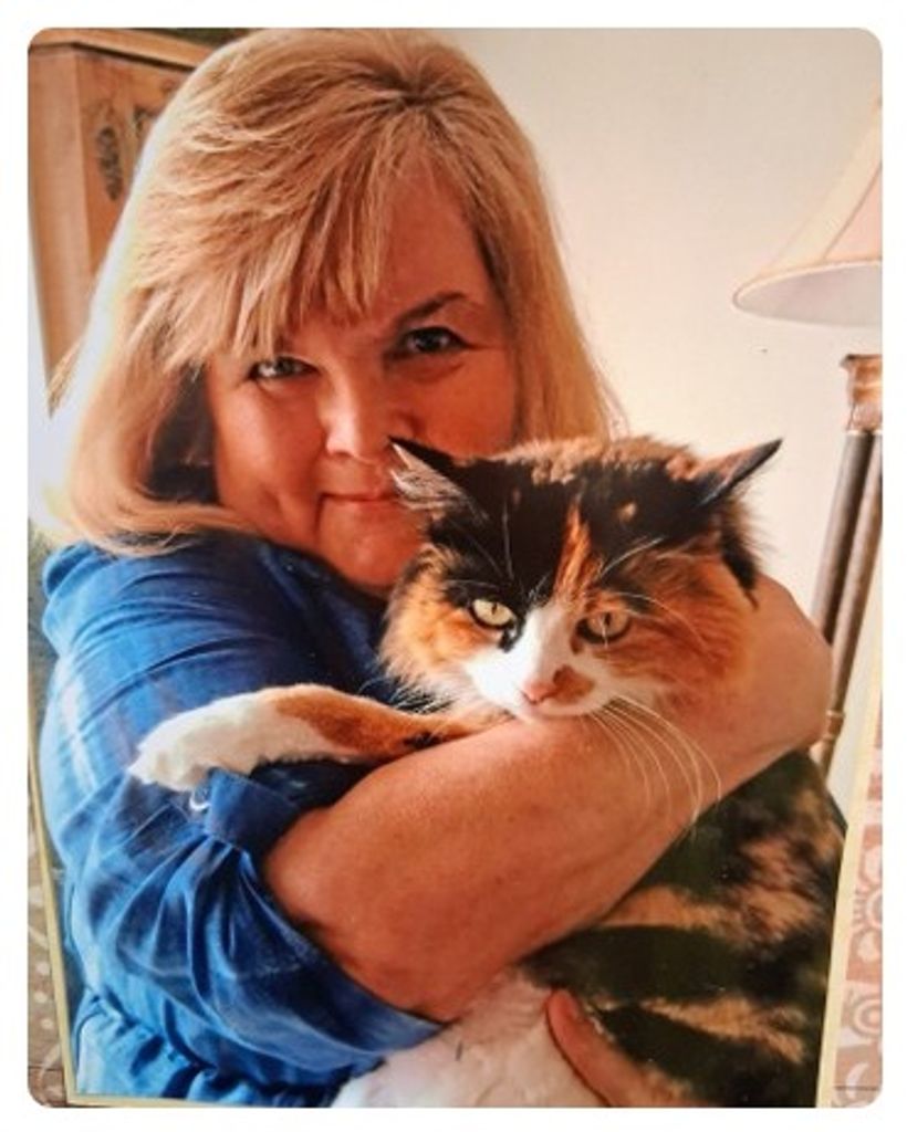 Carolyn Dinsmore - Rogers Profile Photo