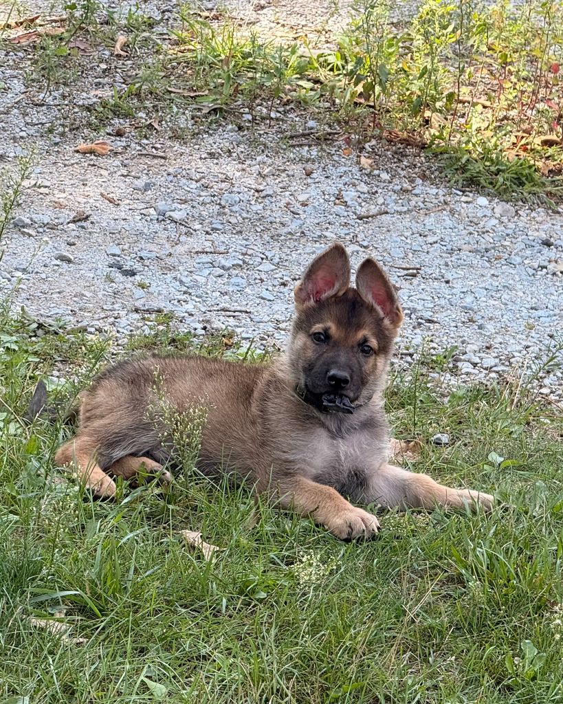 Draco Duran Profile Photo